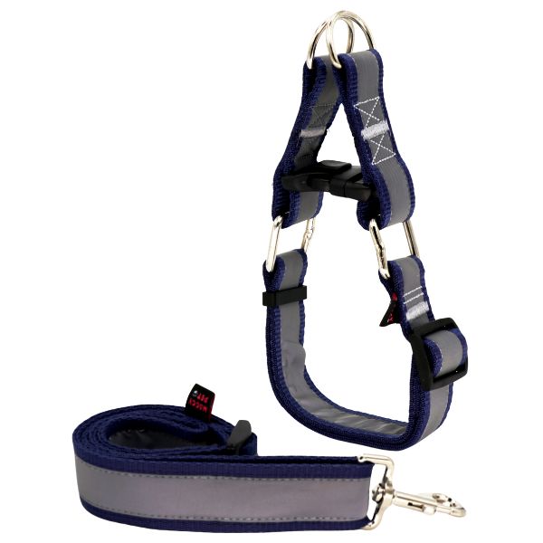 لید و قلاده سگ مدل گردنی چارلی نژاد بزرگ بازتابنده