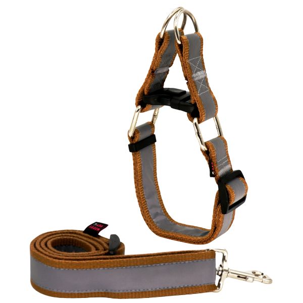 لید و قلاده سگ مدل گردنی چارلی نژاد بزرگ مناسب استفاده در شب