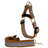 لید و قلاده سگ مدل گردنی چارلی نژاد بزرگ مناسب استفاده در شب