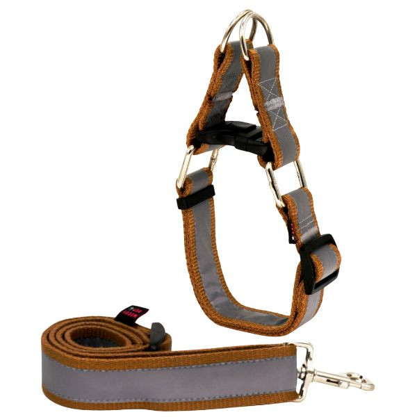 لید و قلاده سگ مدل گردنی چارلی نژاد بزرگ مناسب استفاده در شب