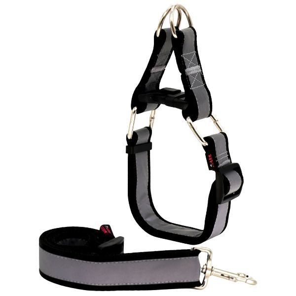 قیمت خرید لید و قلاده سگ مدل گردنی چارلی نژاد بزرگ با کیفیت