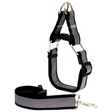 قیمت خرید لید و قلاده سگ مدل گردنی چارلی نژاد بزرگ با کیفیت