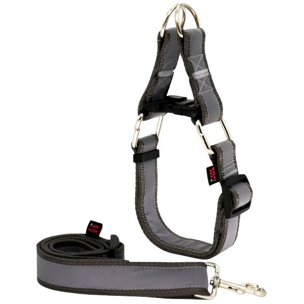 قیمت خرید لید و قلاده سگ مدل گردنی چارلی نژاد بزرگ شبرنگ