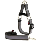 قیمت خرید لید و قلاده سگ مدل گردنی چارلی نژاد بزرگ شبرنگ