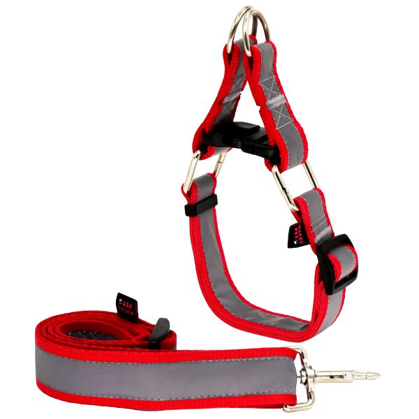 قیمت لید و قلاده سگ مدل گردنی چارلی نژاد بزرگ شبرنگ