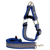 خرید آنلاین لید و قلاده سگ مدل گردنی چارلی نژاد بزرگ شبرنگ