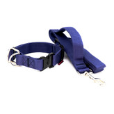 لید و قلاده سگ با دسته هم قدم