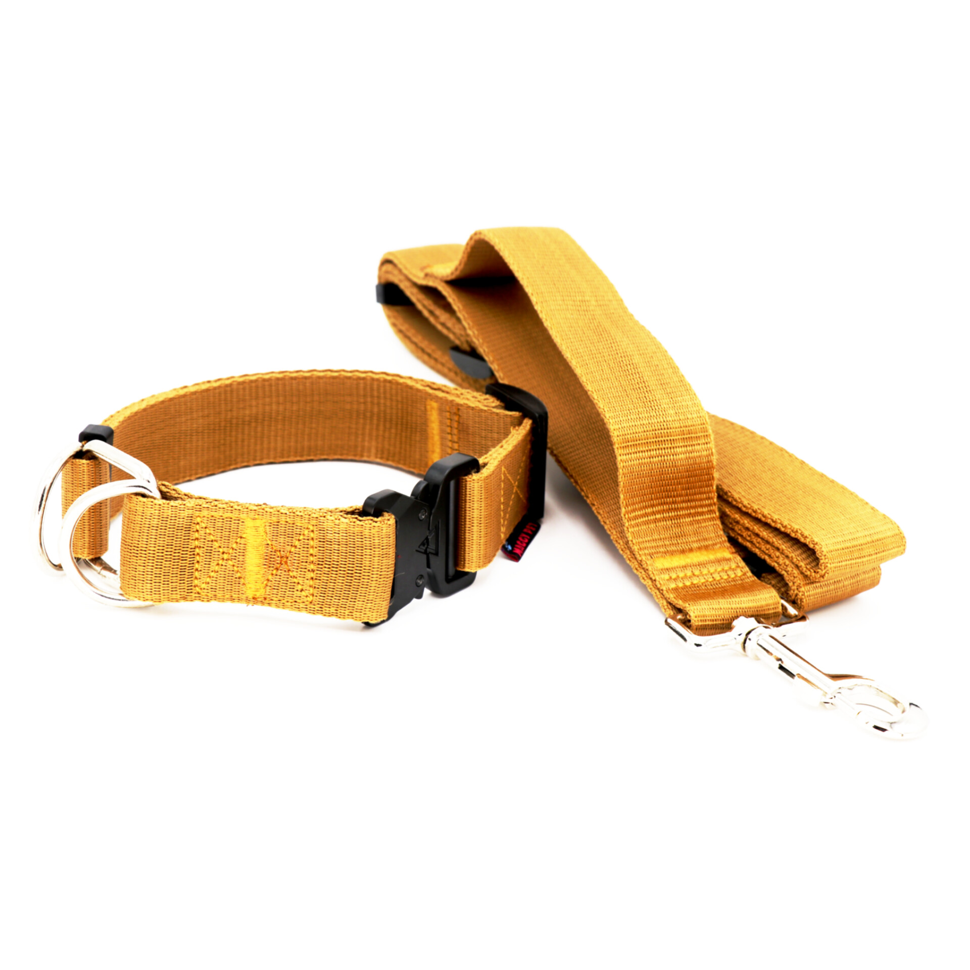 لیش و قلاده سگ با دسته هم قدم