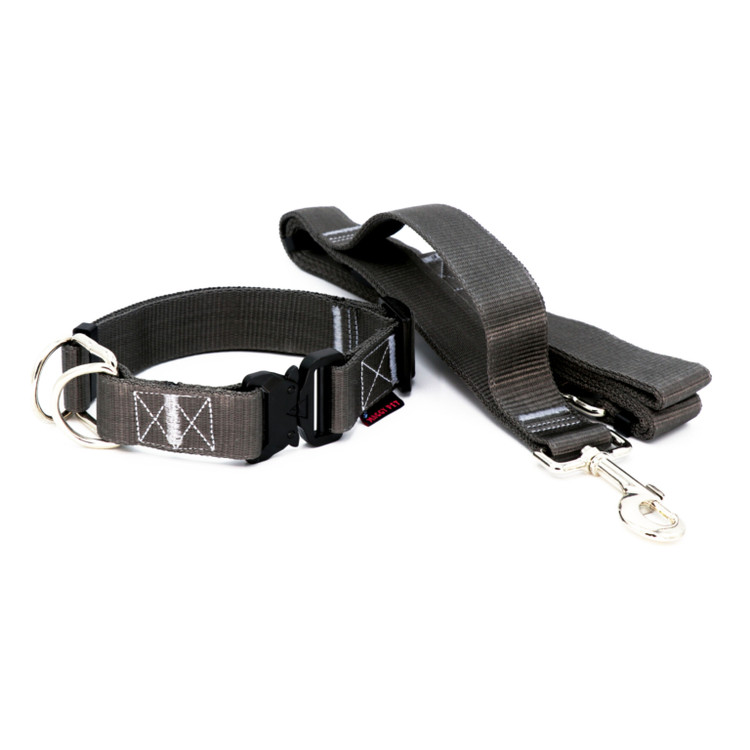 قیمت قلاده سگ مدل نژاد بزرگ