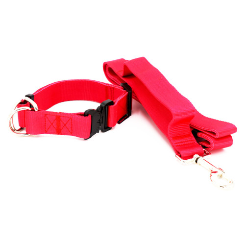 قلاده گردنی آموزشی