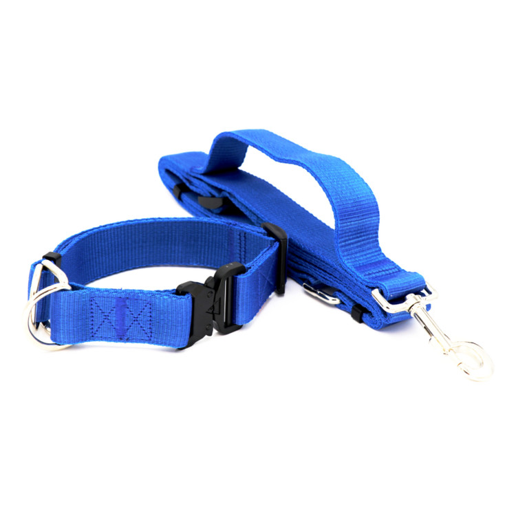 قلاده گردنی قابل رگلاژ همراه با لیش