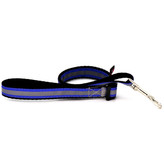 لیش شب نما مگی پت