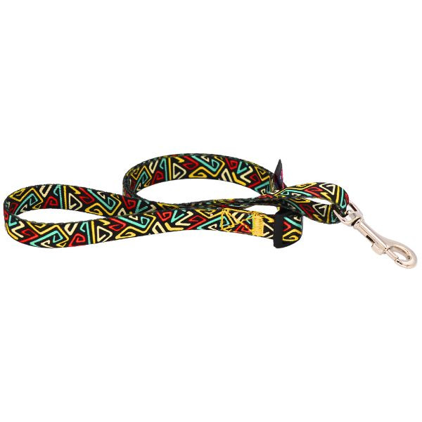 لید فانتزی مناسب سگ شیتزو