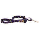 لید فانتزی مناسب سگ شیواوا