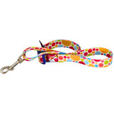 لید محکم و مقاوم برای سگ شیتزو