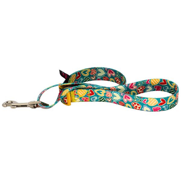 لید نواری قلاده با استفاده راحت