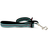 لید قلاده سگ با رنگ جذاب