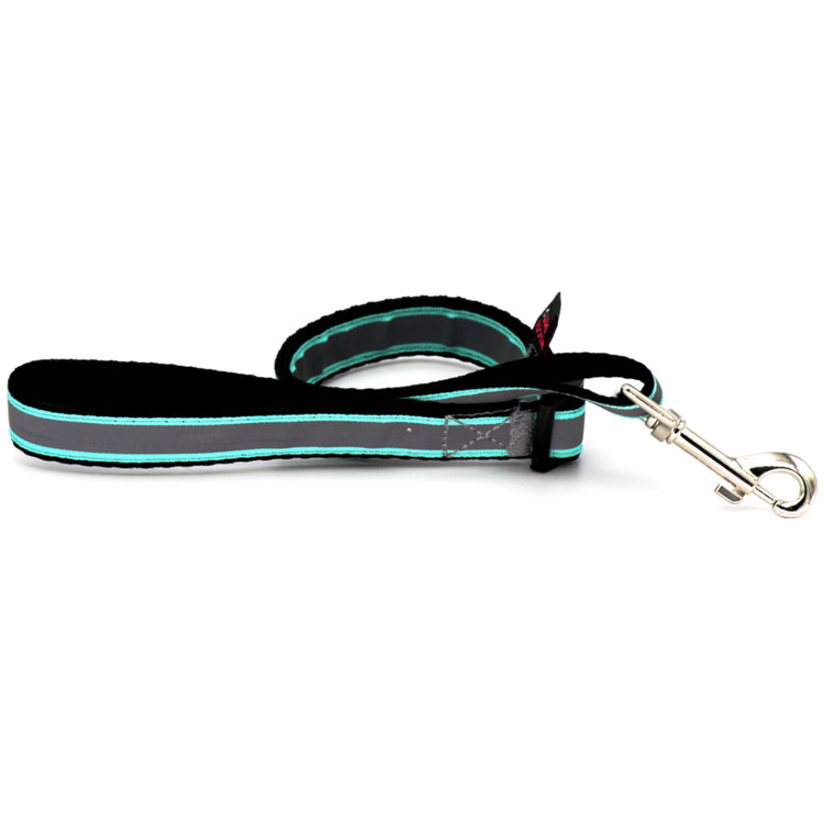 لید قلاده سگ با رنگ جذاب