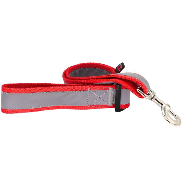 خرید آنلاین لید شبرنگ قابل شستشو نژاد بزرگ با ضمانت