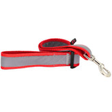 خرید آنلاین لید شبرنگ قابل شستشو نژاد بزرگ با ضمانت