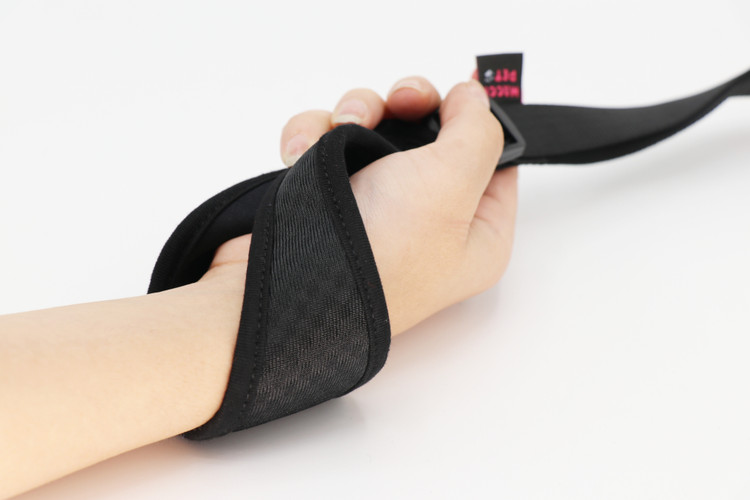 لید ساده برای پامرانین