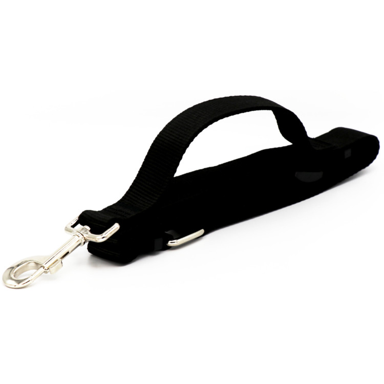 قیمت خرید آنلاین لید محکم و با کیفیت برای آموزش سگ نژاد بزرگ