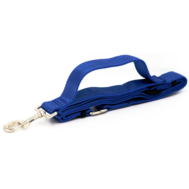 قیمت لید برای آموزش سگ نژاد بزرگ