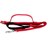 لید با دسته هم قدم برای آموزش