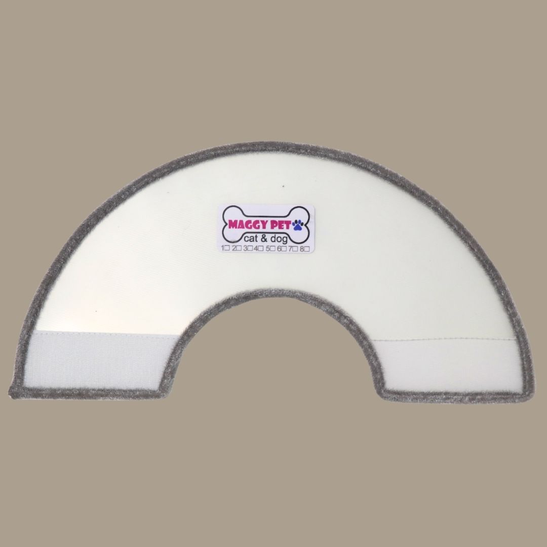 الیزابت مناسب بعد از عمل جراحی حیوان خانگی